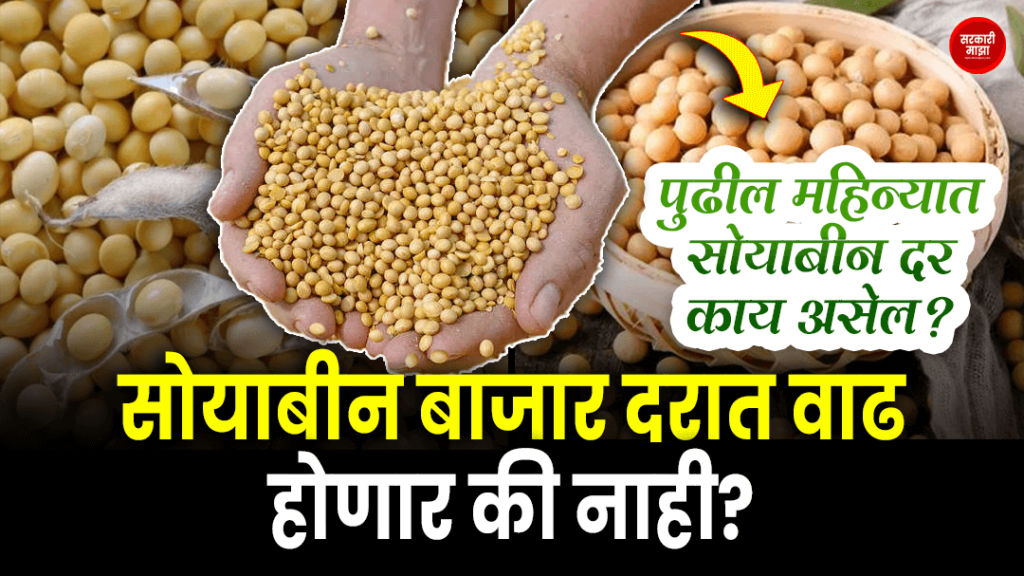 Soybean market price will increase or not
