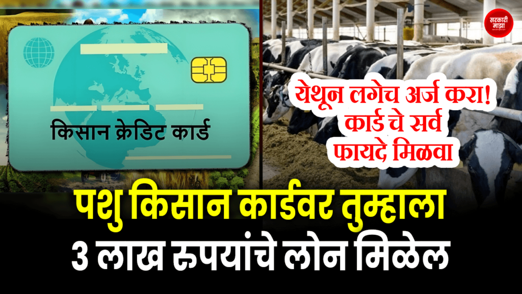 You can get a loan of Rs 3 lakh on Pashu Kisan Card! Apply now from here