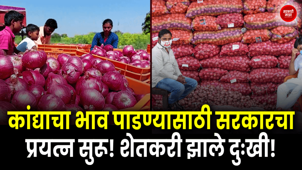 the-government-is-trying-to-bring-down-the-price-of-onion-farmers-became-sad